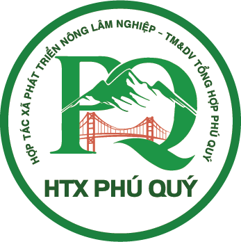 HTX Phú Qúy- Bắc Trà My